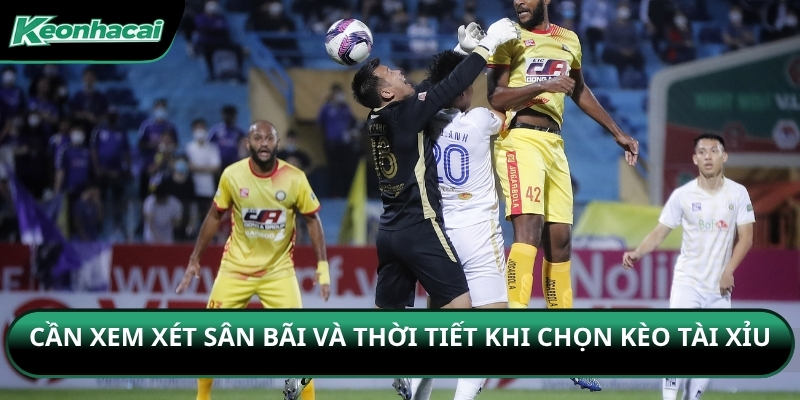 Cần xem xét sân bãi và thời tiết khi chọn kèo tài xỉu