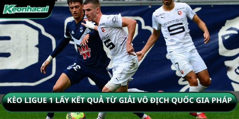 Kèo Ligue 1 lấy kết quả từ giải vô địch quốc gia Pháp