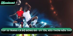 Top 10 Trang Cá Độ Bóng Đá
